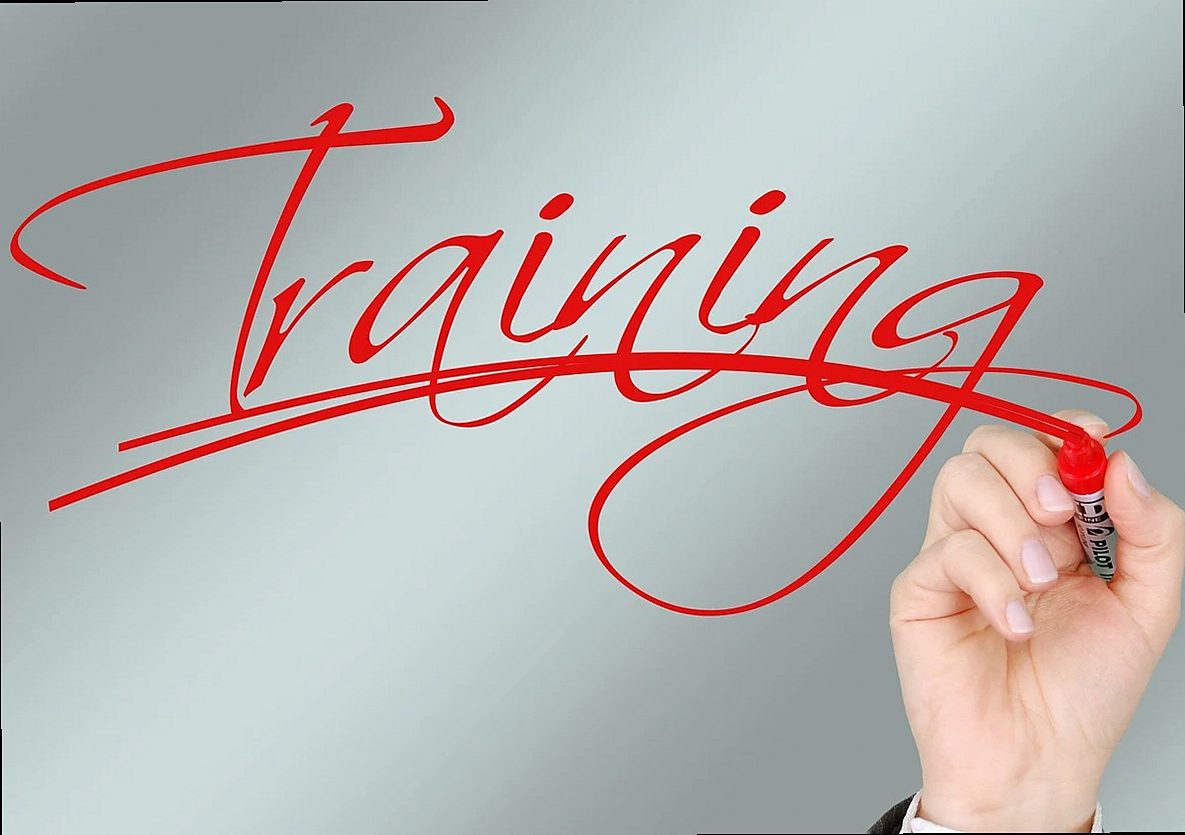 mark, marker, hand, write, training, logistics, glass, glass pane, organization chart, skills, career, knowledge, can, s